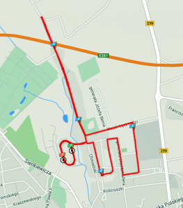 Bieg "Świecka Piątka"